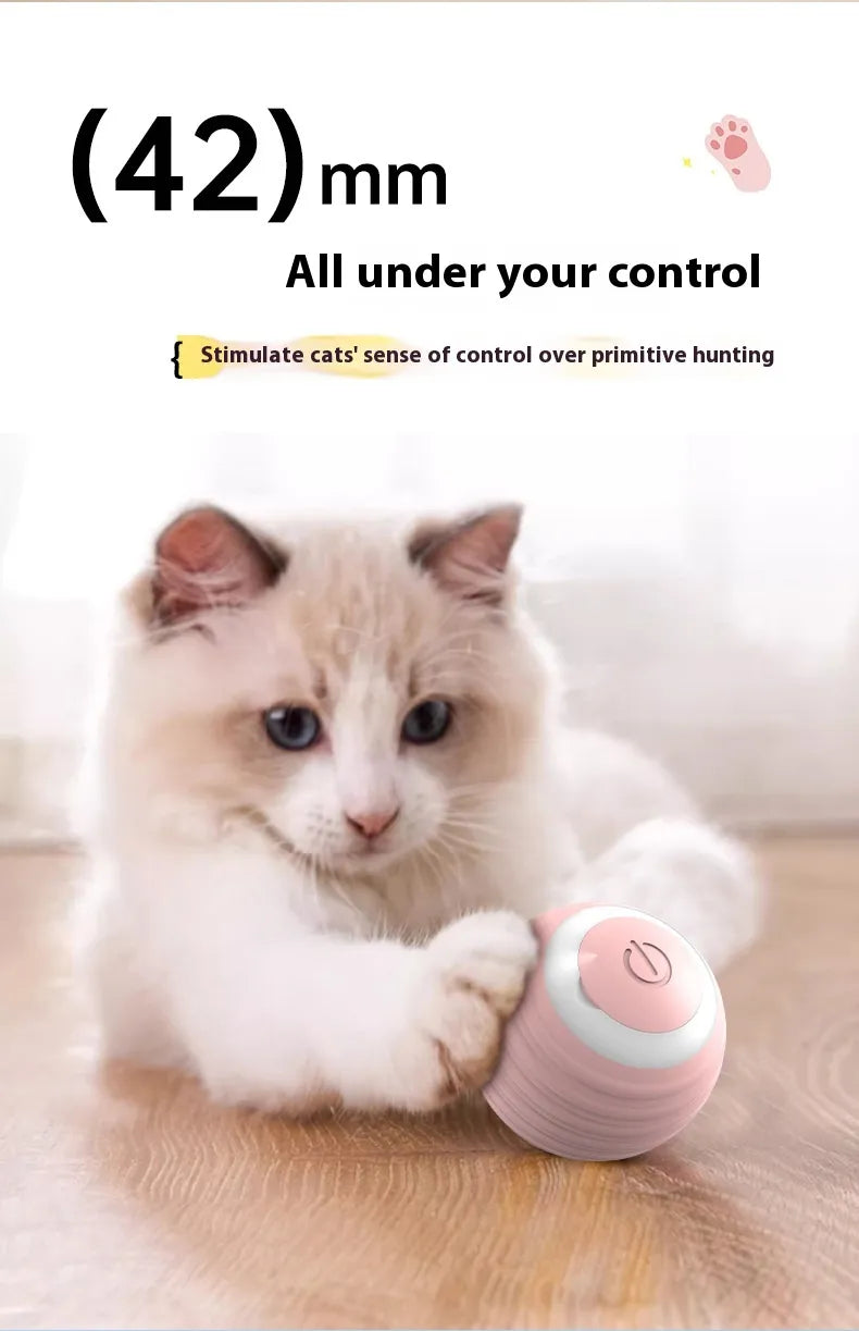 The Zoomie Spark Ball — Smart Self-Rolling Dog Toy