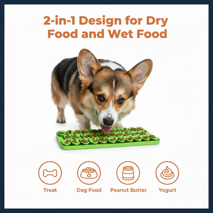 2-in-1 Design Infographic