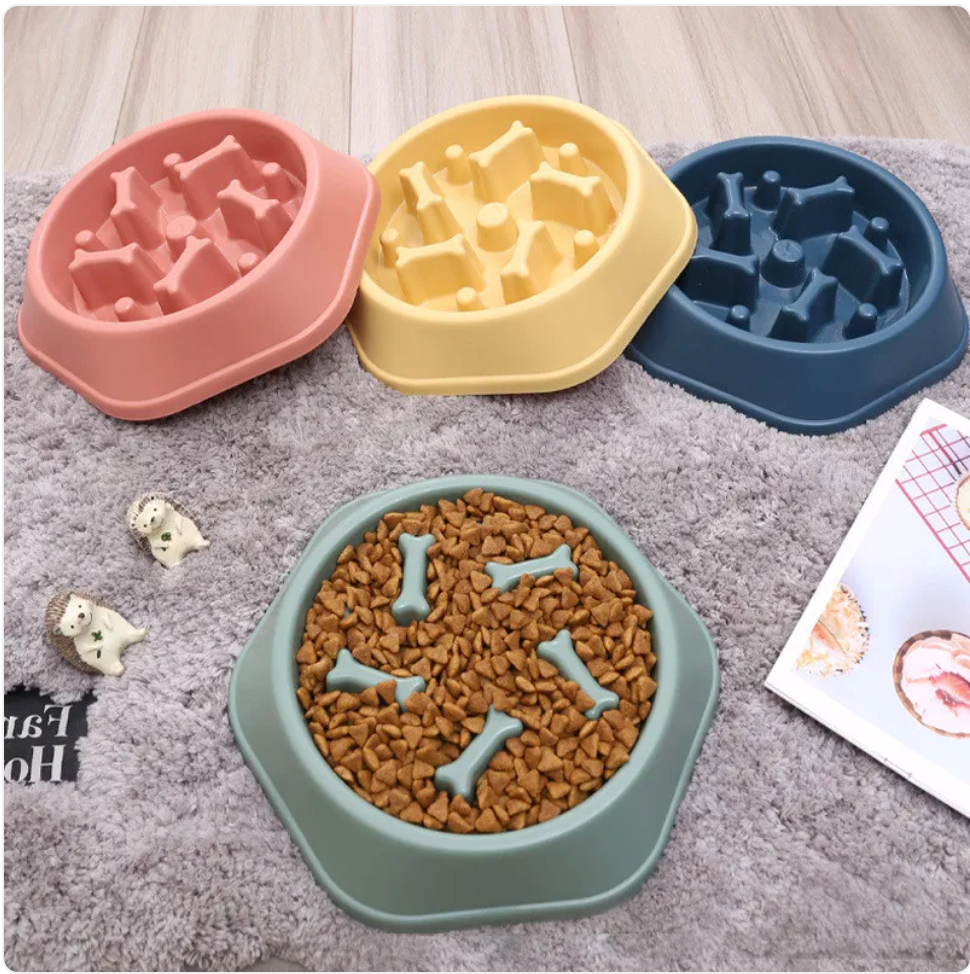 The Pace Setter — Slow Feeder Bowl for Dogs