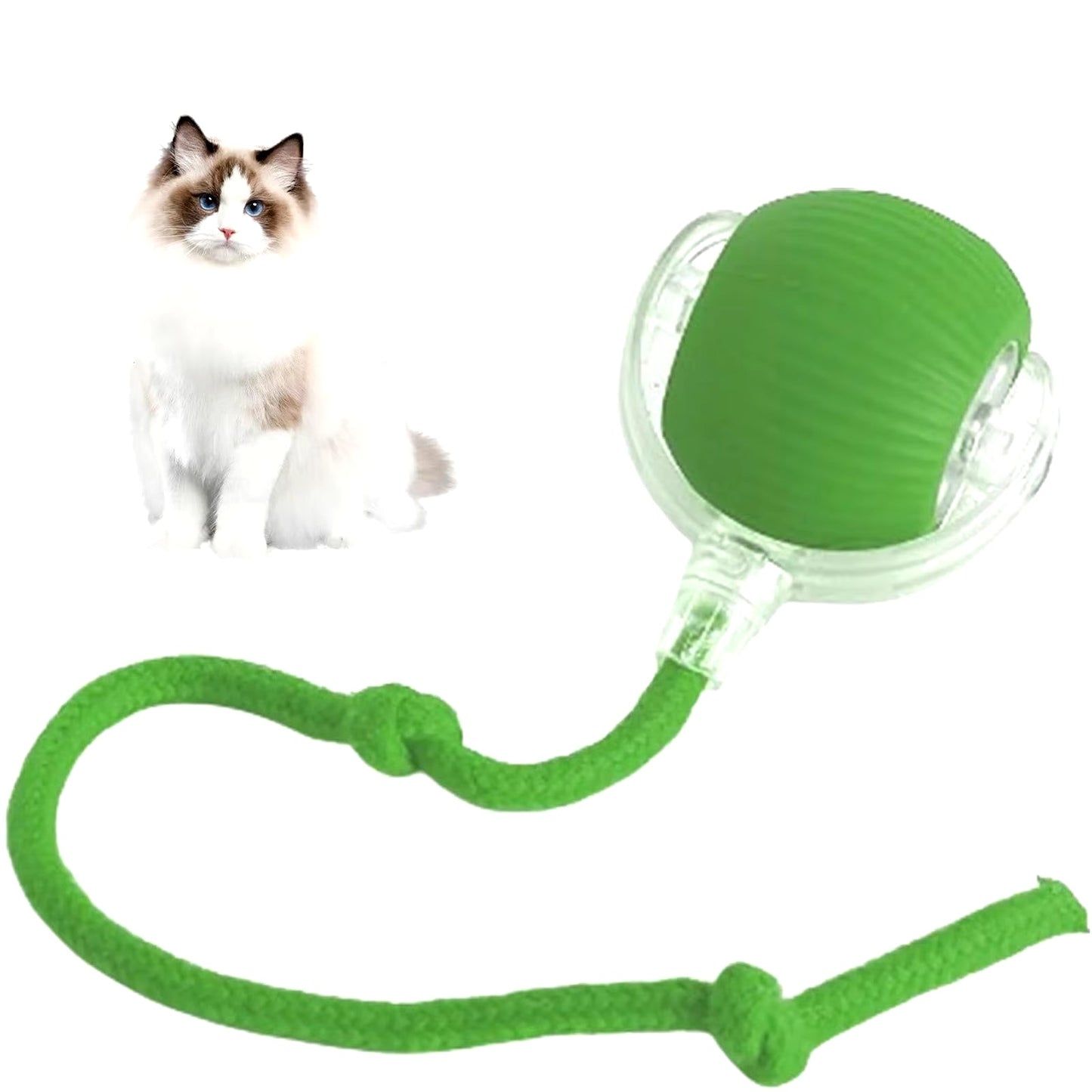 The Orbit Ball — Rechargeable Smart Rolling Toy for Cats & Dogs