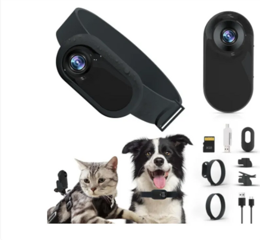 The Snoop Pup — Wireless Collar Cam for Curious Pets