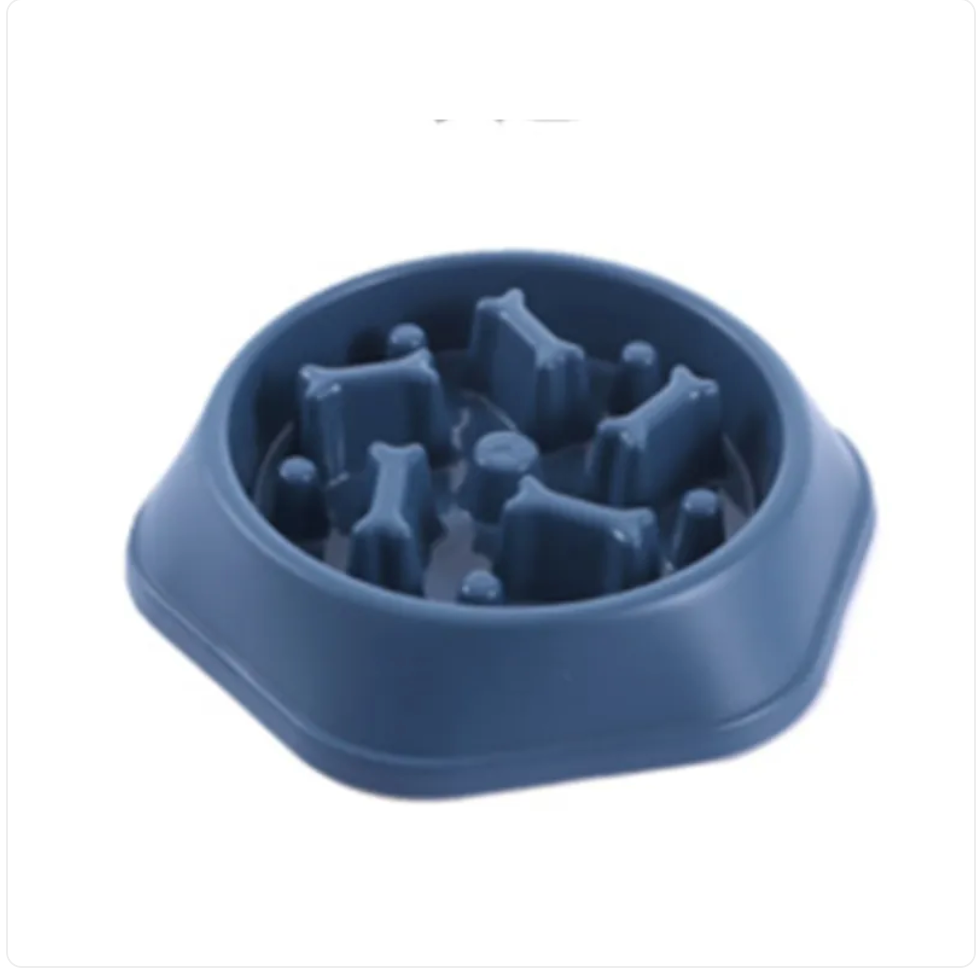 The Pace Setter — Slow Feeder Bowl for Dogs