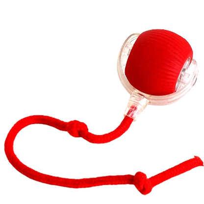 The Orbit Ball — Rechargeable Smart Rolling Toy for Cats & Dogs