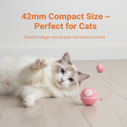42mm Compact Size