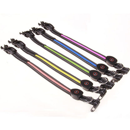 The Peachy Glow Collar — USB Rechargeable LED Dog Collar