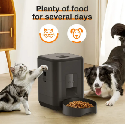 The Kibble Clock — Never Miss a Meal Smart Feeder