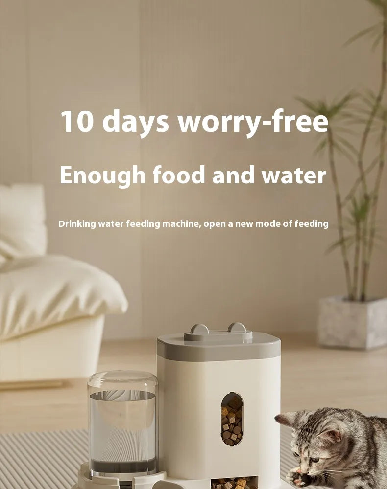 The Never-Empty Nook — Automatic Food & Water Station