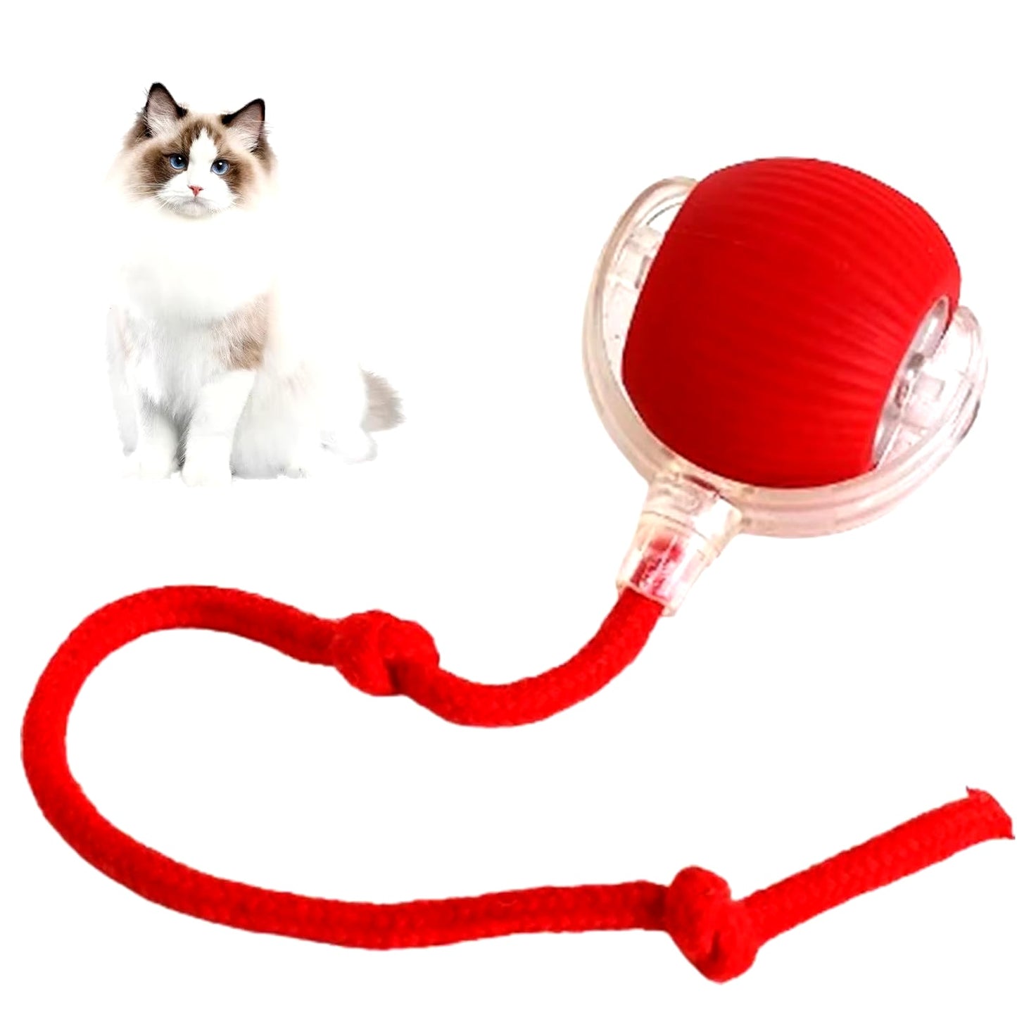 The Orbit Ball — Rechargeable Smart Rolling Toy for Cats & Dogs