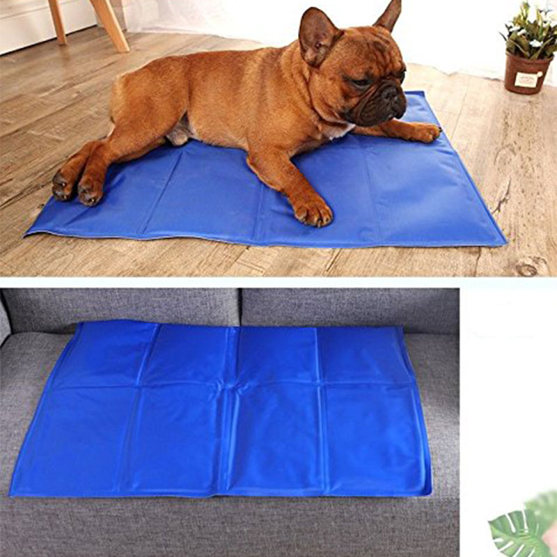 The Cool Paws Oasis — Pressure-Activated Pet Cooling Mat
