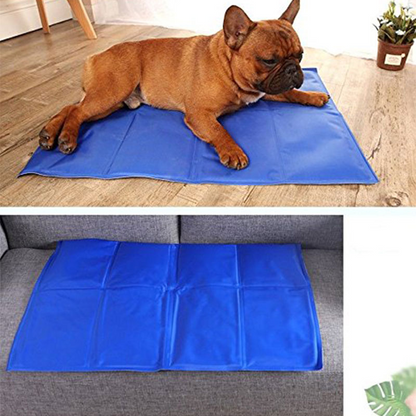 The Cool Paws Oasis — Pressure-Activated Pet Cooling Mat