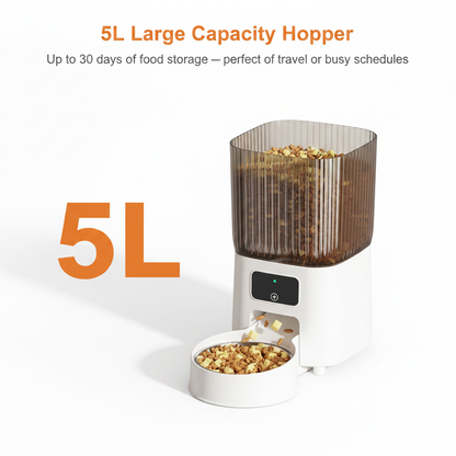 5L Capacity Infographic