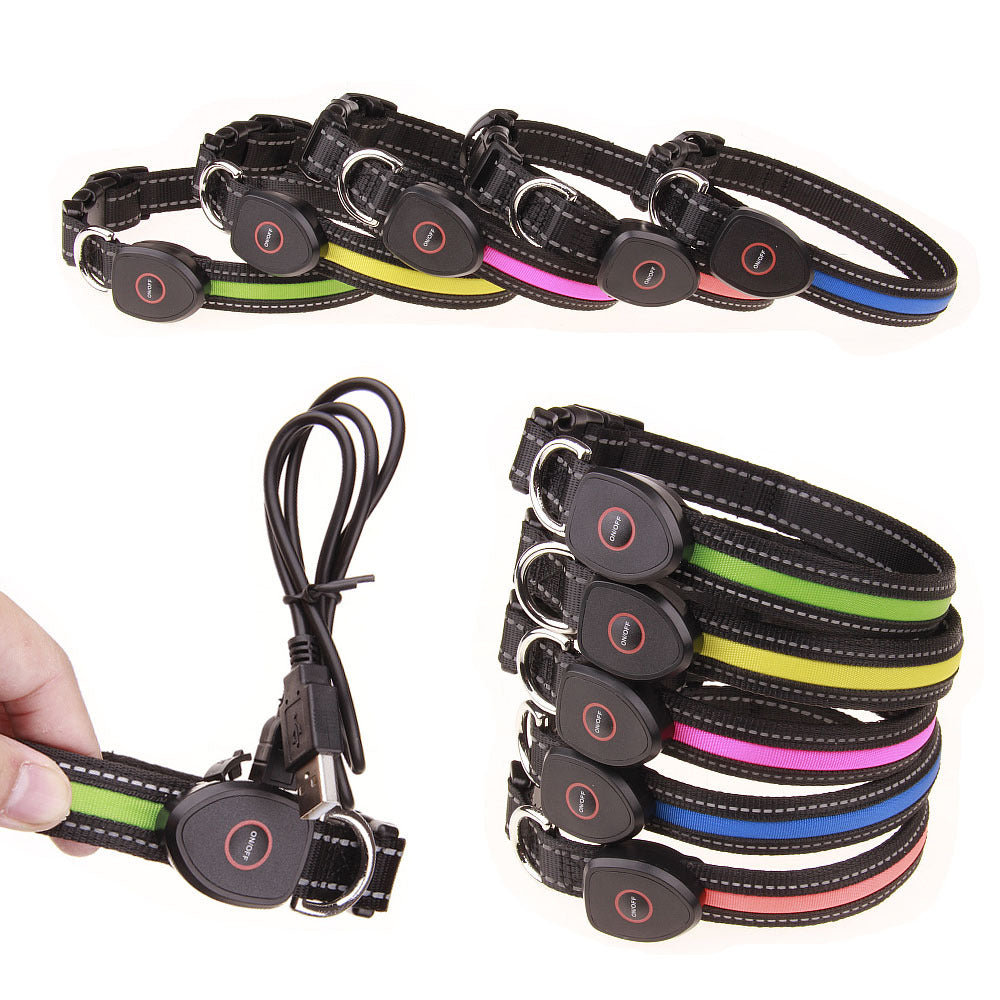 The Peachy Glow Collar — USB Rechargeable LED Dog Collar