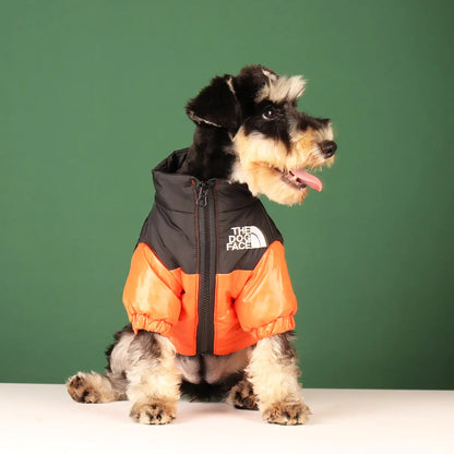 The Dog Face - Warm Windproof Winter Dog Jacket