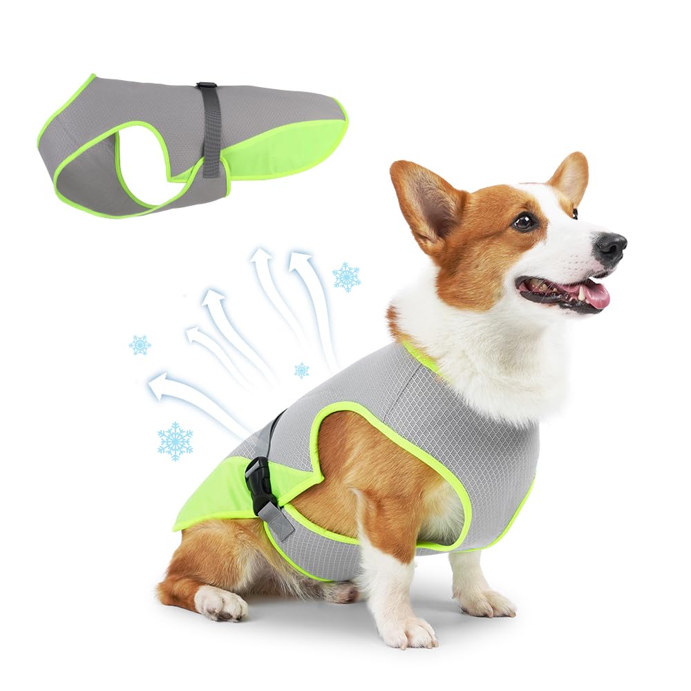 The Chill Hound Cooling Vest — Lightweight Summer Dog Jacket