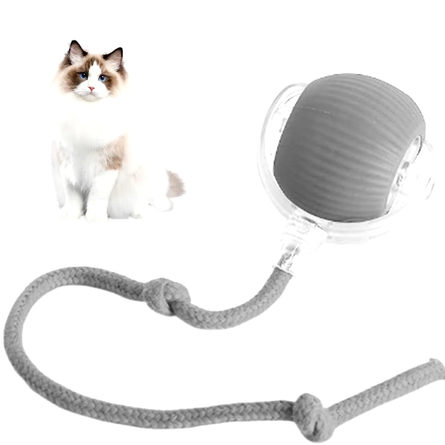 The Orbit Ball — Rechargeable Smart Rolling Toy for Cats & Dogs