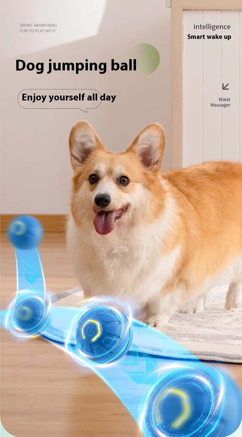 The Zoomie Spark Ball — Smart Self-Rolling Dog Toy