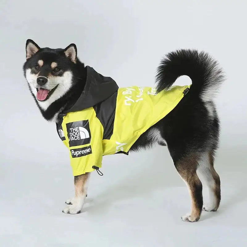 The Dog Face - Waterproof Windbreaker