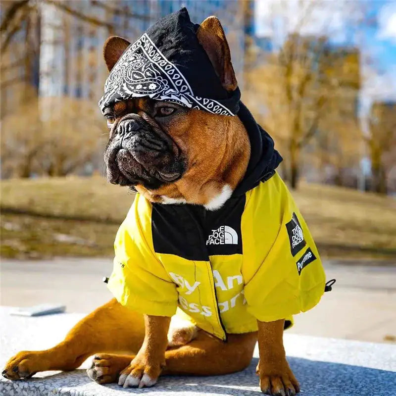 The Dog Face - Waterproof Windbreaker