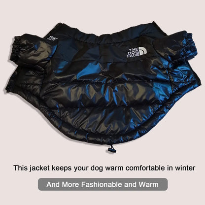 The Dog Face - Warm Windproof Winter Dog Jacket