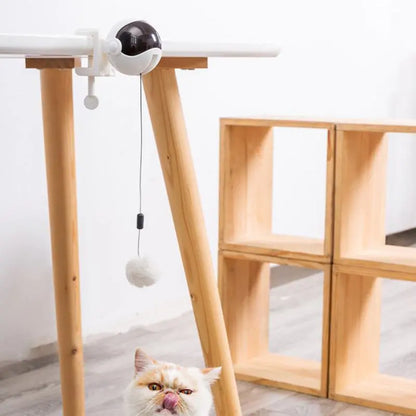 Automatic Lifting Motion Cat Toy