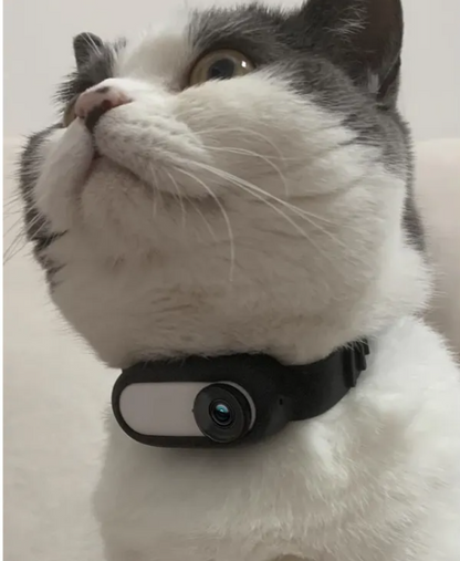 The Snoop Pup — Wireless Collar Cam for Curious Pets