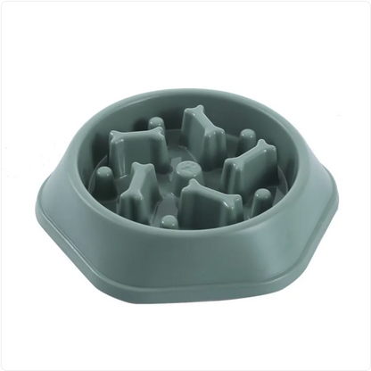 The Pace Setter — Slow Feeder Bowl for Dogs