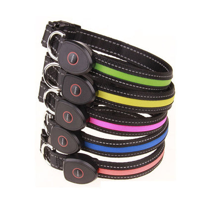 The Peachy Glow Collar — USB Rechargeable LED Dog Collar