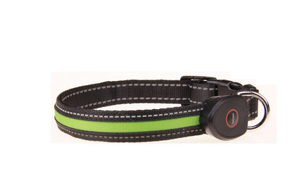 The Peachy Glow Collar — USB Rechargeable LED Dog Collar