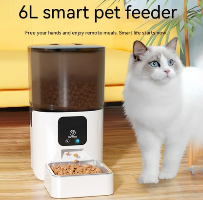 The Furr-Sight Smart Feeder — Wi-Fi Camera & Auto-Feed