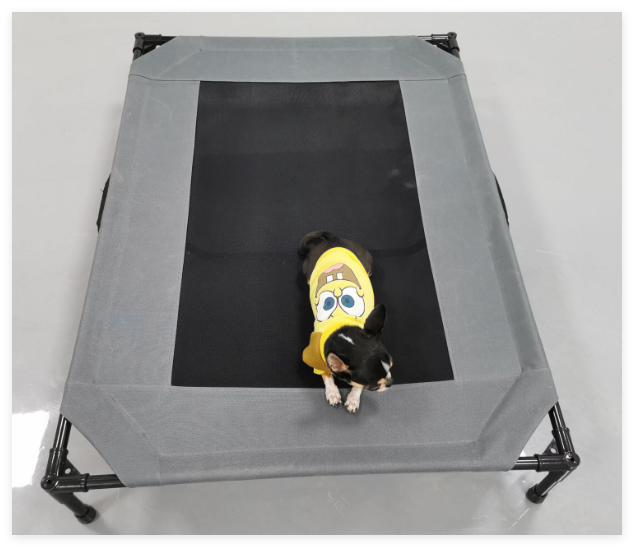 The Pawvilion — Elevated Outdoor Dog Bed