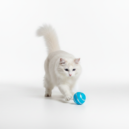 Cat Blue Ball Lifestyle