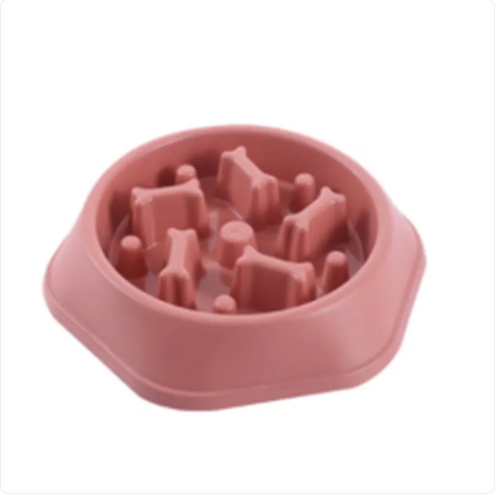 The Pace Setter — Slow Feeder Bowl for Dogs