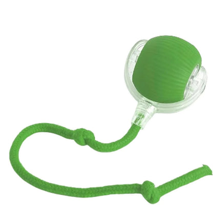 The Orbit Ball — Rechargeable Smart Rolling Toy for Cats & Dogs