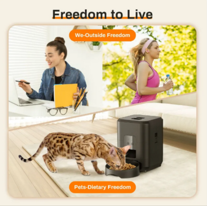 The Kibble Clock — Never Miss a Meal Smart Feeder