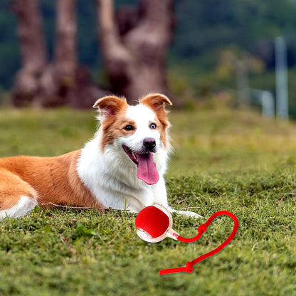 The Orbit Ball — Rechargeable Smart Rolling Toy for Cats & Dogs
