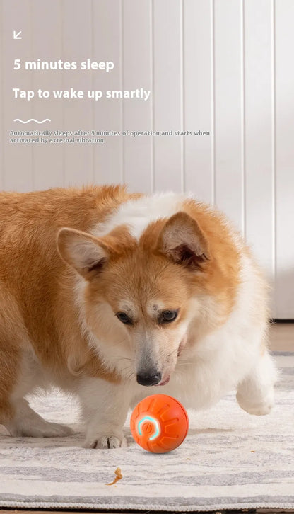 The Zoomie Spark Ball — Smart Self-Rolling Dog Toy