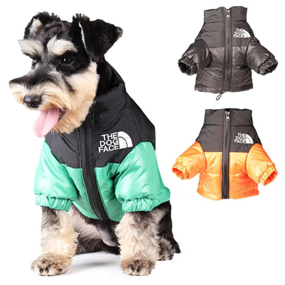 The Dog Face - Warm Windproof Winter Dog Jacket