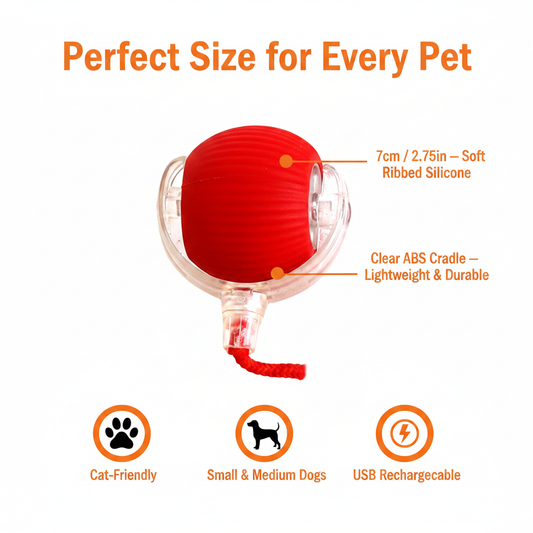 Perfect Size for Every Pet