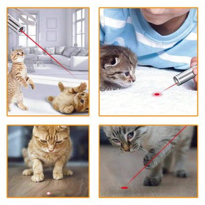 USB Rechargeable Cat Laser