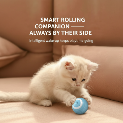 Smart Rolling Companion